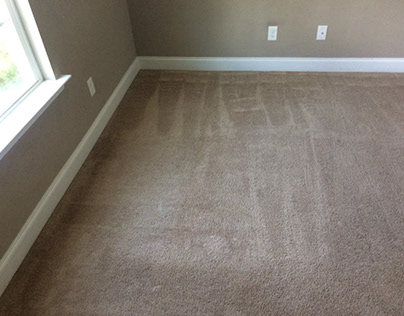 Carpet Cleaning Casey