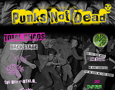 Punks not Dead Magazine Cover Page