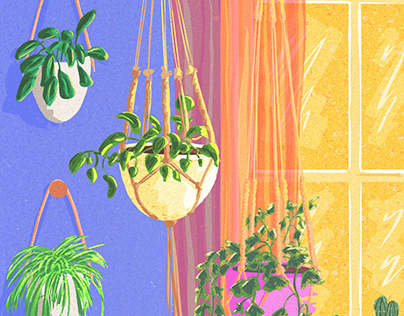 Hangin' plants