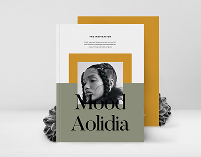 AOLIDIA Outfit Editorial Lookbook