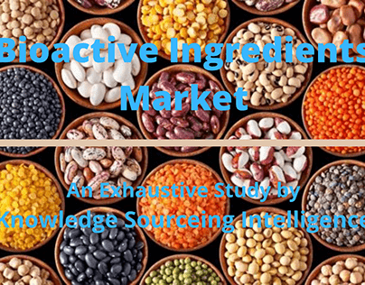 Segment analysis on Bioactive Ingredients Market