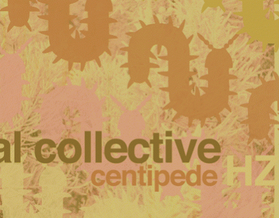 Animal Collective "Centipede Hz" promotional poster