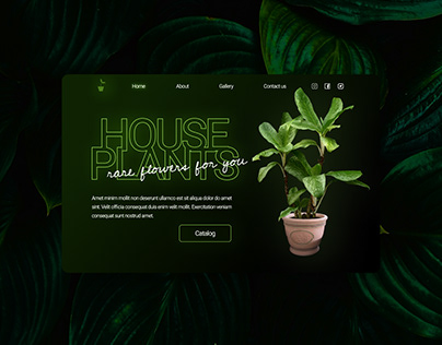 web design Houseplants
