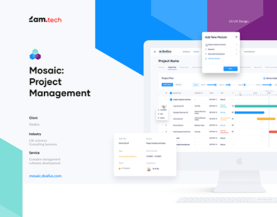 Mosaic: Project Management dashboard / Web platform