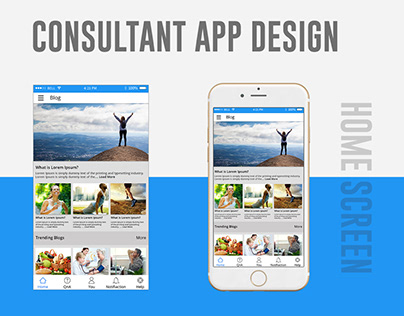 Project thumbnail - Consultant App Design