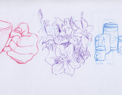 Personal Drawings: Observational Sketches