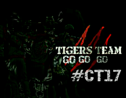 Tiger team go