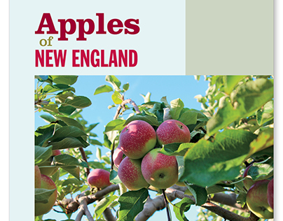 Apples of New England interior design