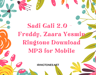 Sadi Gali 2.0 - Freddy, Zaara Yesmin Ringtone Download
