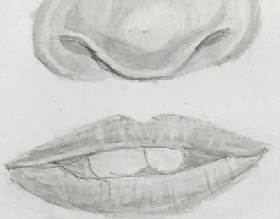 Realistic Nose and Lips illustration