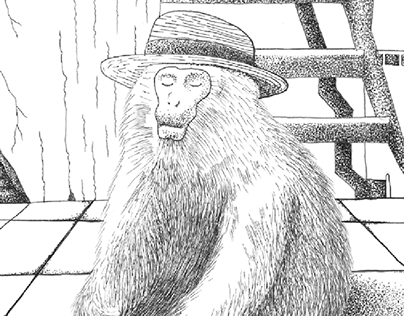 Macaque with hat