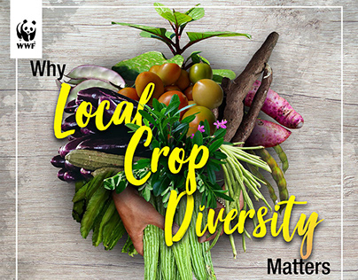 Why Local Crop Diversity Matters