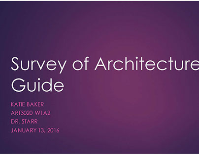 Survey of Architecture Guide