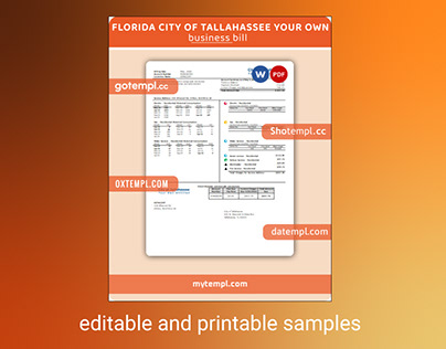 Florida City of Tallahassee Florida bill template