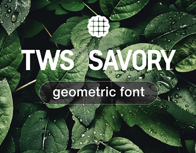 "TWS Savory" font typeface