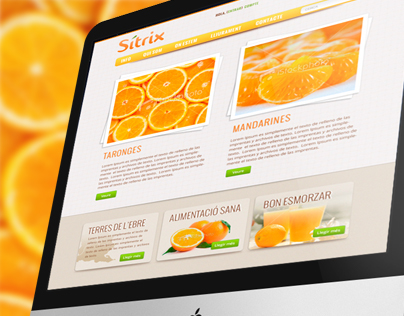 Logo + WebDesign for an online fruit shop
