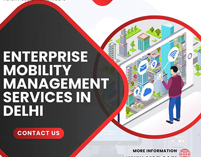 Enterprise Mobility Management Services in Delhi