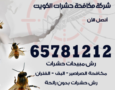 شركة مكافحة حشرات الكويت / 65781212 / رقم شركة رش حشرات