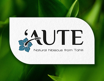 Logo creation for 'Aute