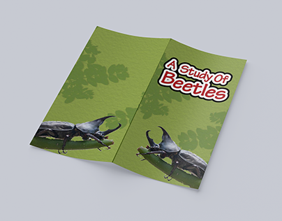 A Study Of Beetles Infographic booklet