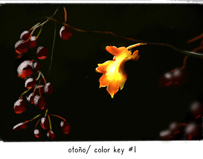 Otoño/ color key 1