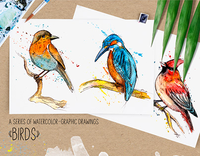 A series of watercolor-graphic drawings "Birds"