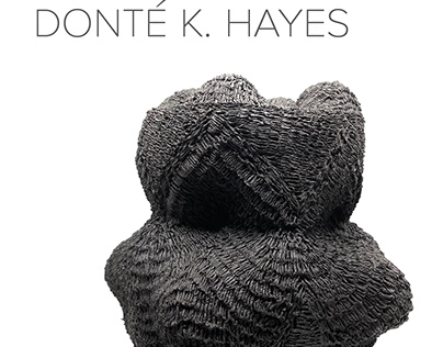 Donte Hayes Exhibition Catalog