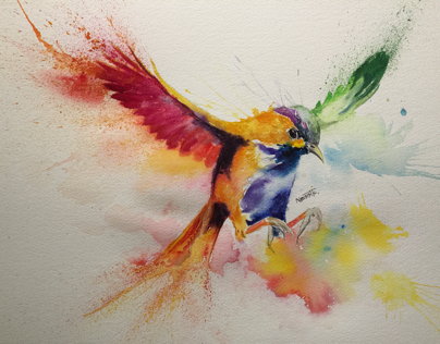Watercolour bird