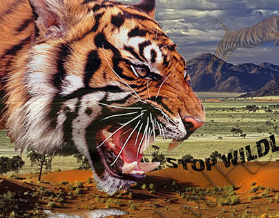 Stop wildlife crime