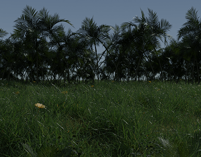 coconut trees on sand_or_grass field?