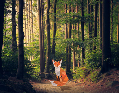 Triangle Fox Art That In Forest