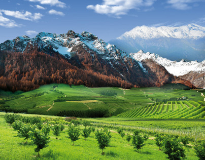 Piedmont Landscape