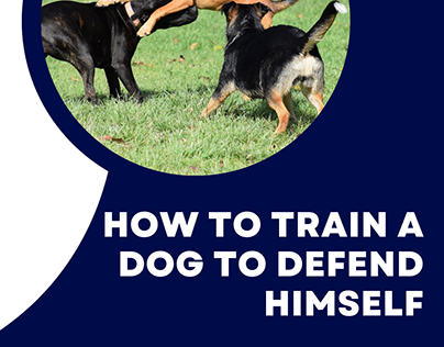 Learn Tips How to Train a Dog to Defend Himself