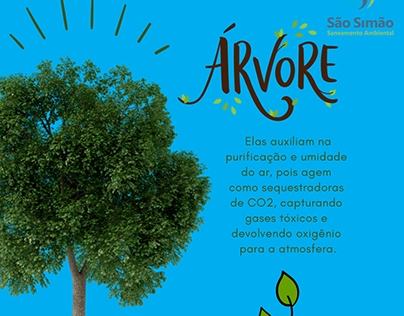 Feliz dia da árvore - prefeitura São Simão