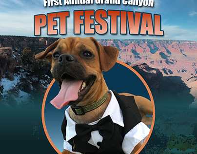Pet Festival Flyer