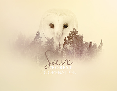 Save the forest