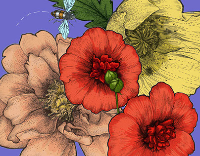 Botanical Illustration for stationary design