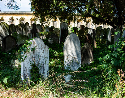 Brompton Cemetery June 2023