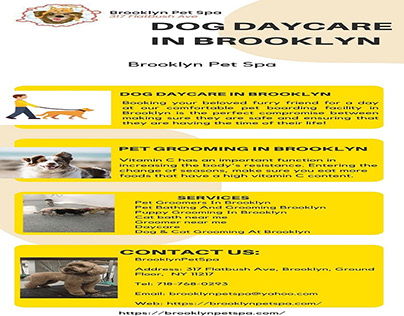 Hire Dog Daycare Services In Brooklyn