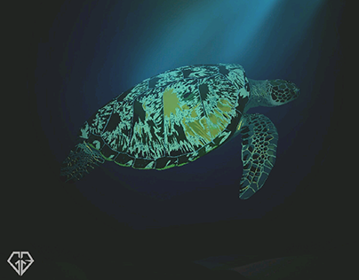 green turtle from indonesia