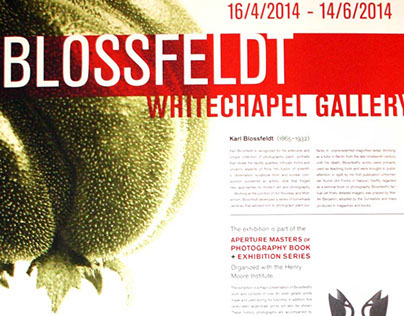 Karl Blossfeldt Photography Exhibit Poster and Brochure