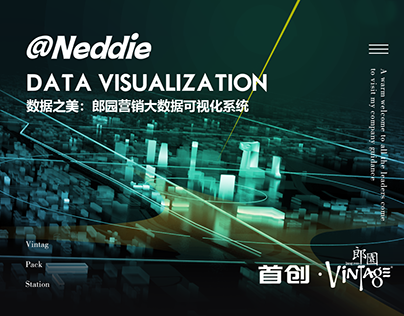 Data visualization/郎园营销大数据可视化系统设计