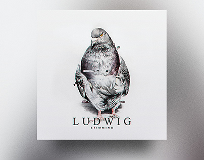 Project thumbnail - Stimming Ludwig LP