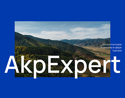 AkpExpert. Redesign concept