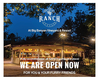 Ranch Banyan Vineyard