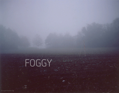A foggy Polaroid morning
