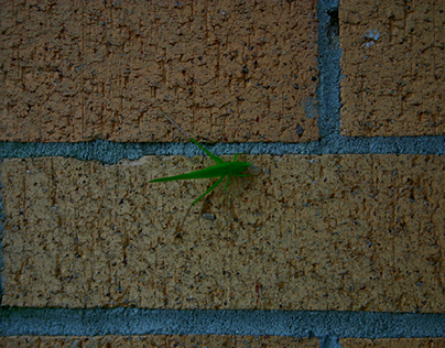 Hopper -Last edited image everything above is raw