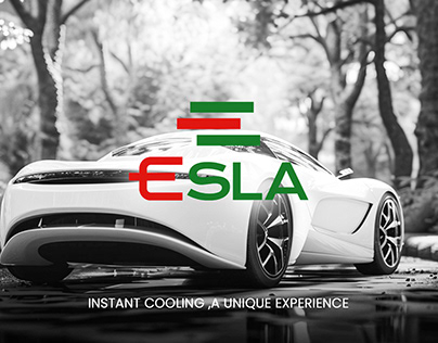 Esla Brand Identity