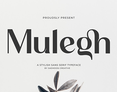Mulegh Free Personal Use Only