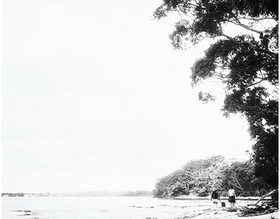 Littoral - Jervis Bay, Summer '24 (Rolleiflex 3.5)